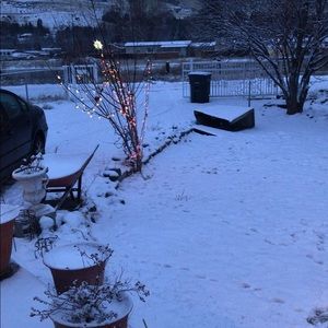 Meet your Posher, Fressia